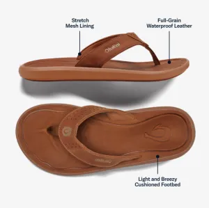 Men's PILI- Fox