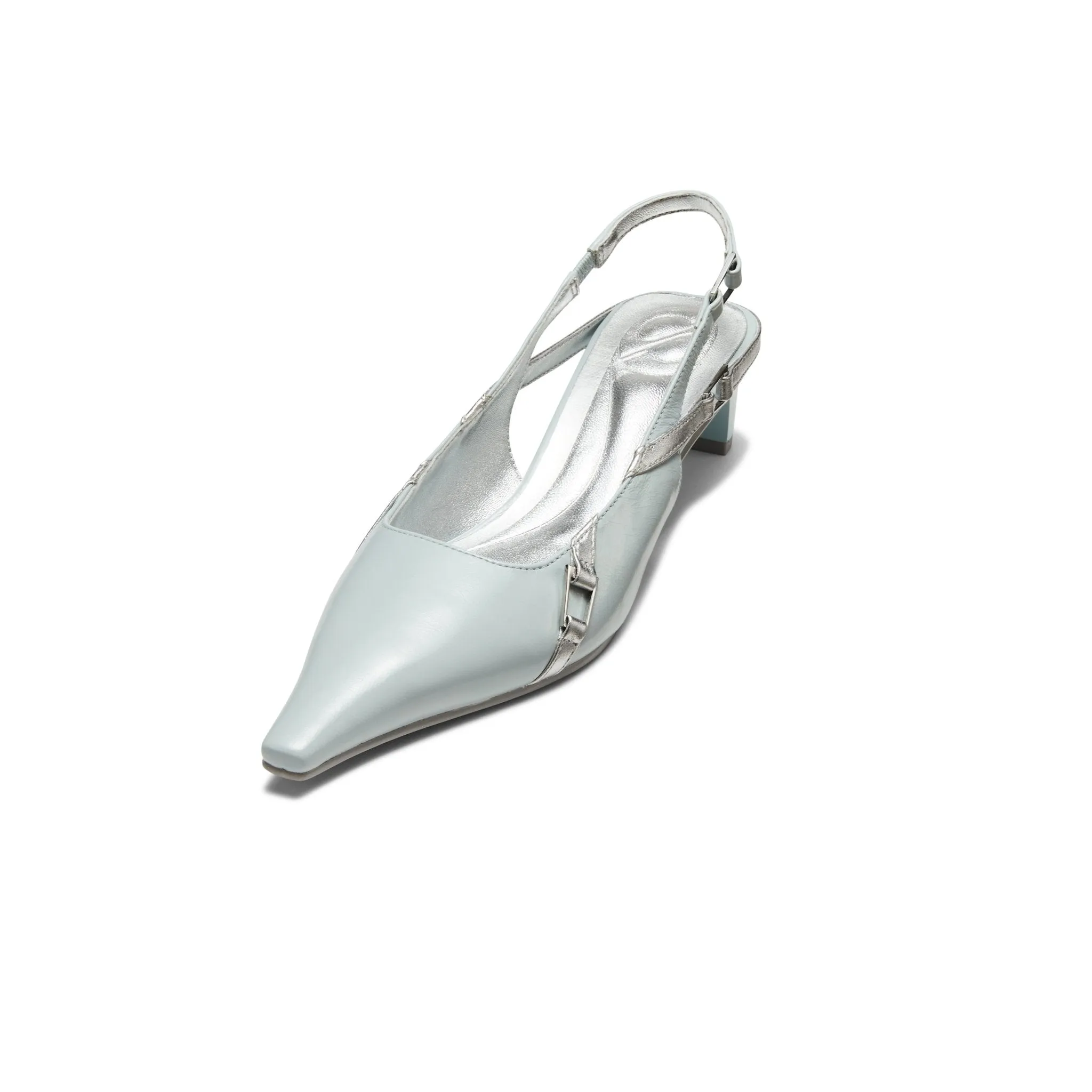 Pointed Toe Thin Buckle Heels in Blue